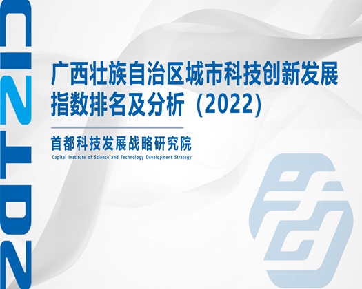 女人被男人操网址【成果发布】广西壮族自治区城市科技创新发展指数排名及分析（2022）